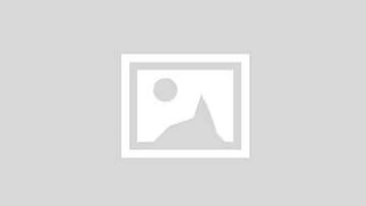 Assistive AI for Document Processing